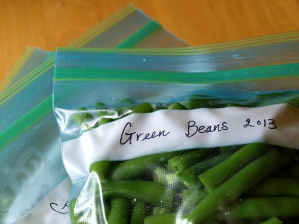 Green beans, ready for the freezer