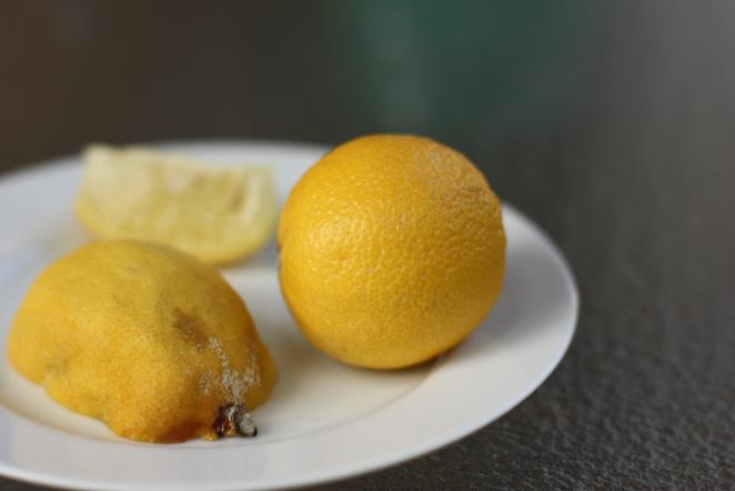 Good and bad lemon