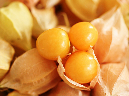 Ground cherry image credit: Straight From the Farm