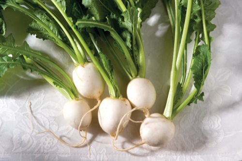 Turnips, from the White section